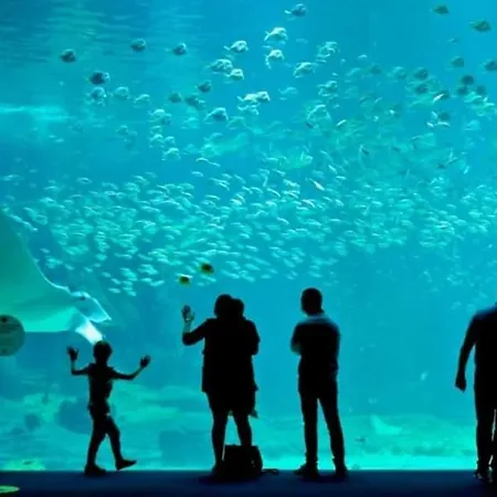 Apartment Chez Bernard Ardres